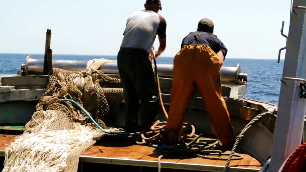 pescatori - barca - peschereccio FOTO Puglia Verde - Riproduzione riservata