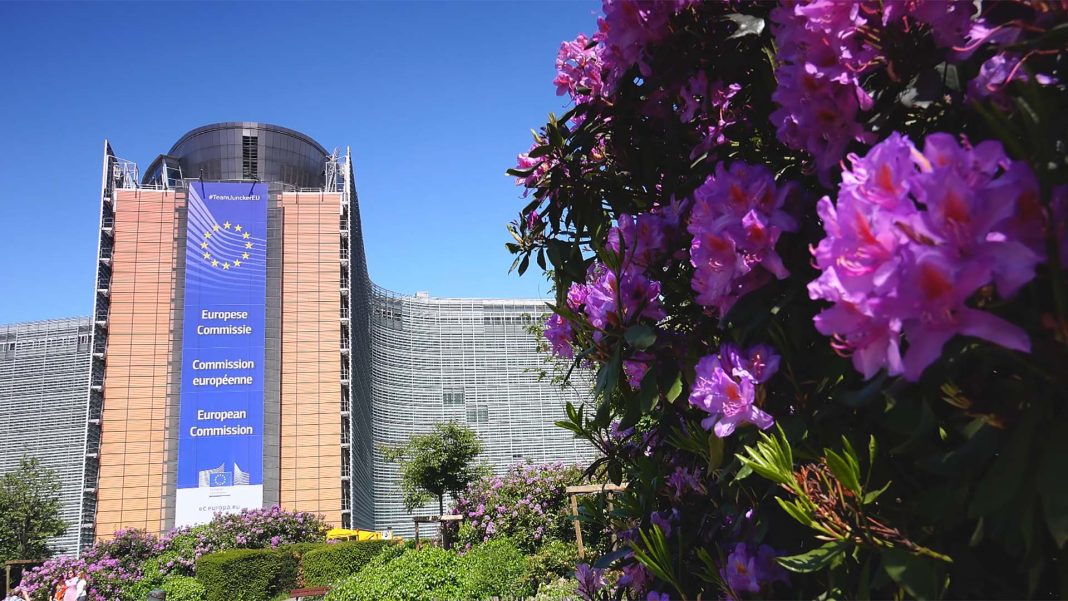 politica europea - commissione europea FOTO motion array - Riproduzione riservata