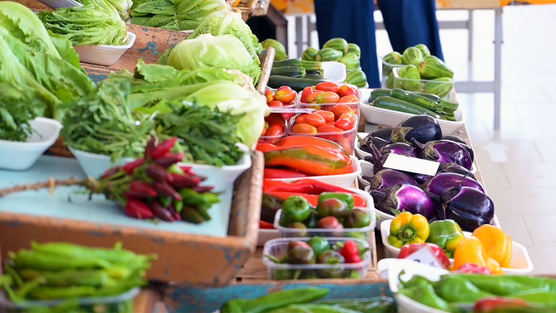 “Filiere di Puglia”: il bando regionale da 40 milioni per le produzioni agricole “Filiere di Puglia”: il bando regionale da 40 milioni per le produzioni agricole
