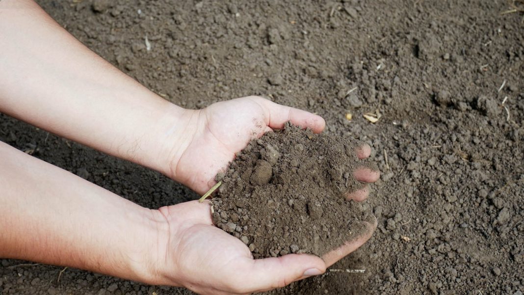 Mani e terra