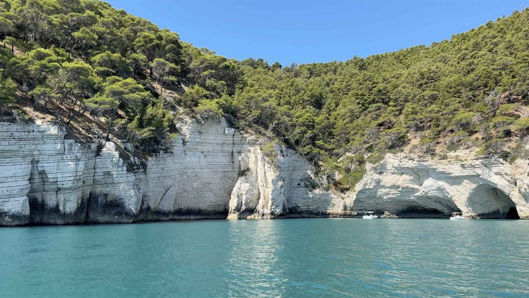 Parco del gargano - Puglia Verde